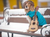 55 Famous Ukulele Songs