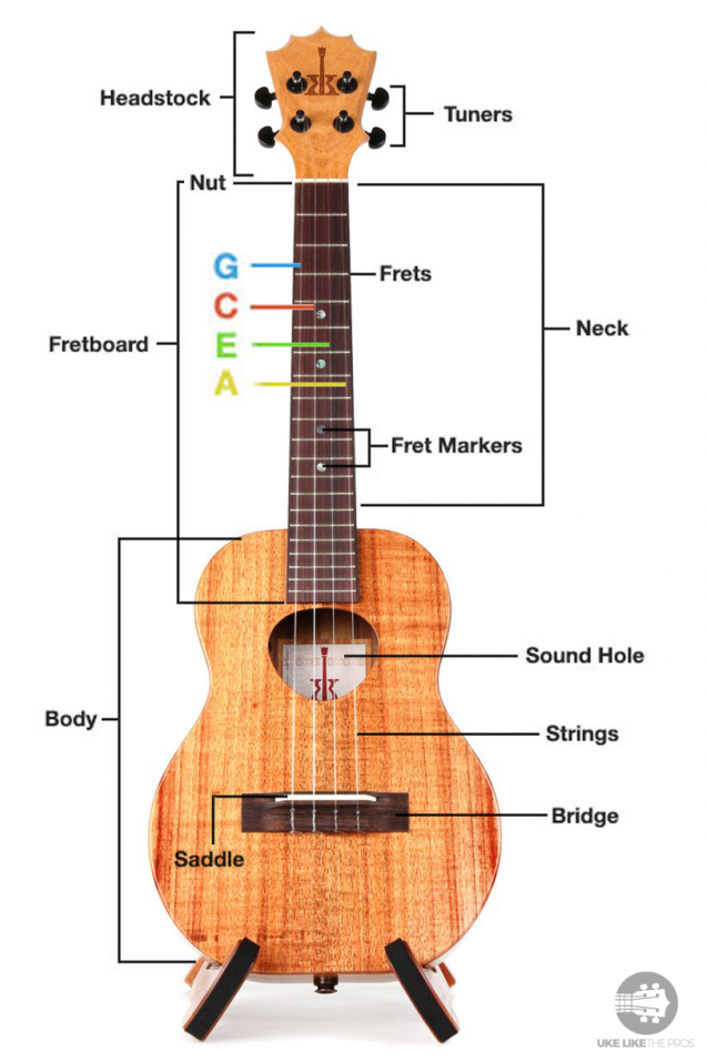 How To Tune A Ukulele For Beginners In 5 Easy Steps The Complete Guide 2021 This lesson is intended for someone who is buying new ukulele strings or needs to restring there ukulele. how to tune a ukulele for beginners in