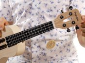 Xiaomi Populele image