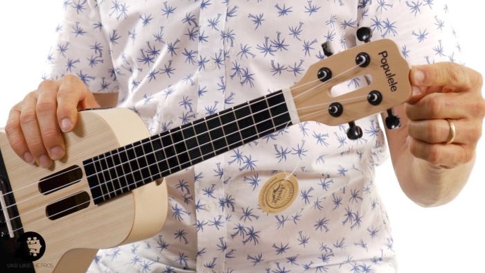 Xiaomi Populele image